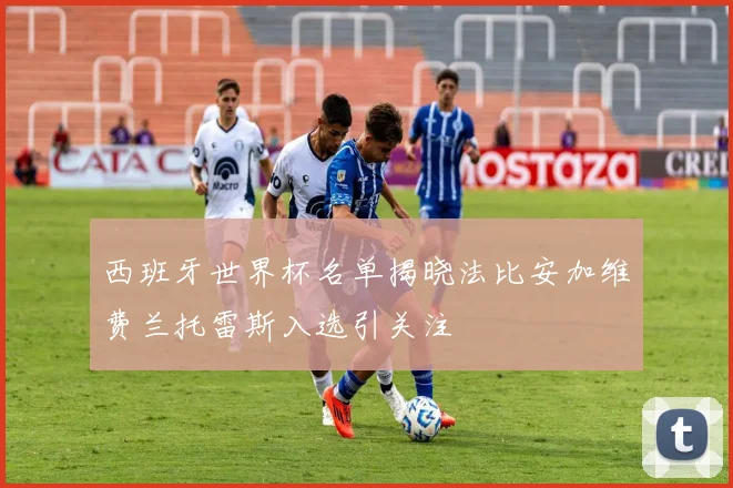 西班牙世界杯名单揭晓法比安加维费兰托雷斯入选引关注