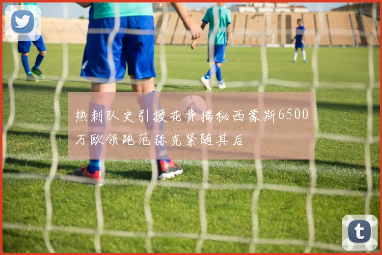 热刺队史引援花费揭秘西蒙斯6500万欧领跑范赫克紧随其后